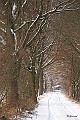 Sneeuwlandschap Verkensbos 1